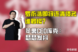 伊春为什么选择专业追讨公司来处理您的债务纠纷？